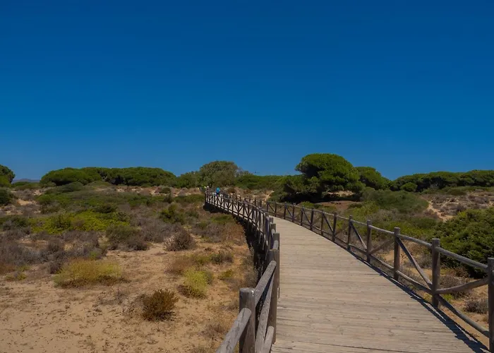 Апартаменты Cubo's Penthouse Cabopino Port & Parking